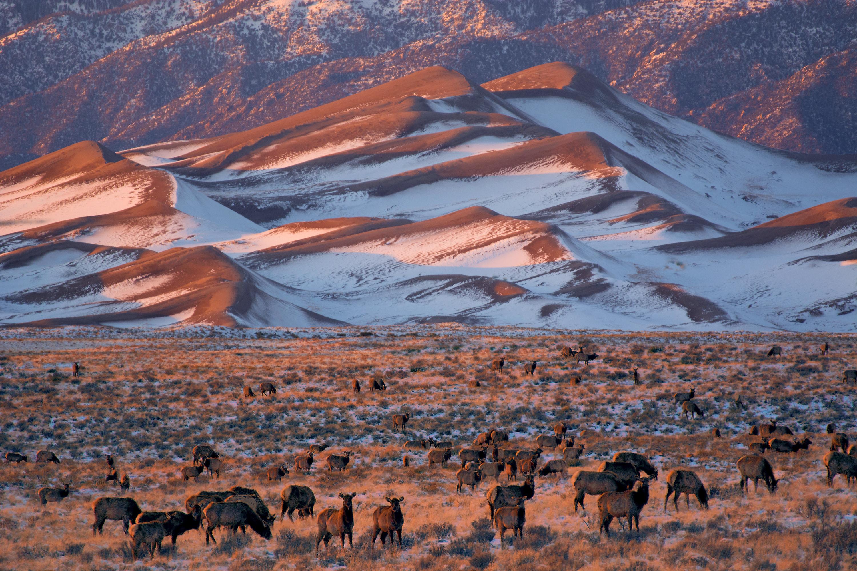 About the San Luis Valley | San Luis Valley Health
